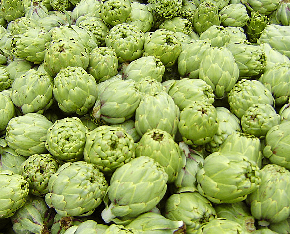 Alcachofa de Tudela en la gastronomía navarra